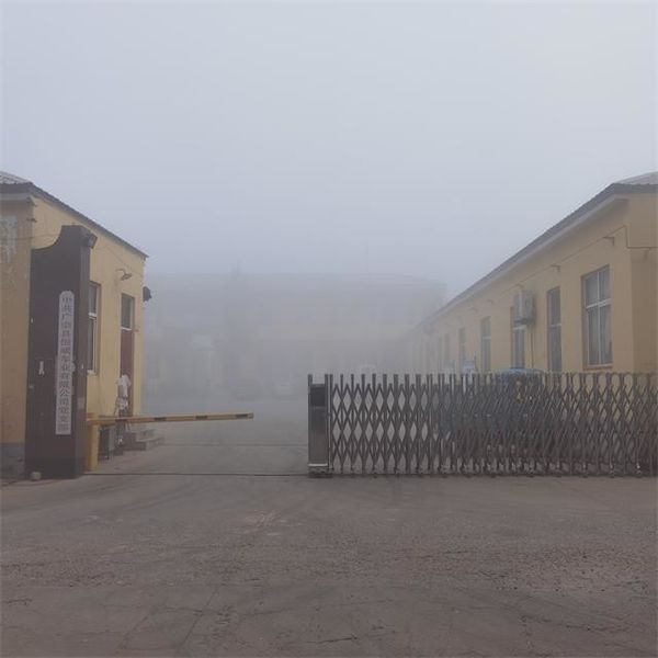 Guangzong County Hengwei Bicycle Co., Ltd.